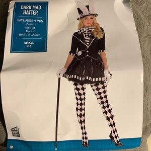 COPY - HALLOWEEN COSTUME! Alice in Wonderland Mad Hatter costume
